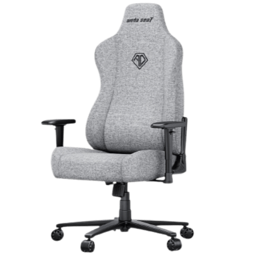 AndaSeat Novis AD23-XL-01-G-F XL Series Best Budget Ergonomic Gaming Chair